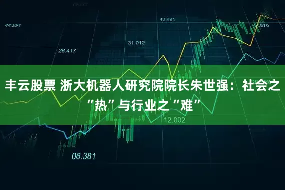 丰云股票 浙大机器人研究院院长朱世强：社会之“热”与行业之“难”