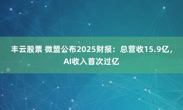 丰云股票 微盟公布2025财报：总营收15.9亿，AI收入首次过亿